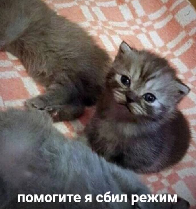 Свежая порция мемов о ситуации в Украине, которые подбадривают - 540578 Свежая порция мемов о ситуации в Украине, которые подбадривают - фото 540578