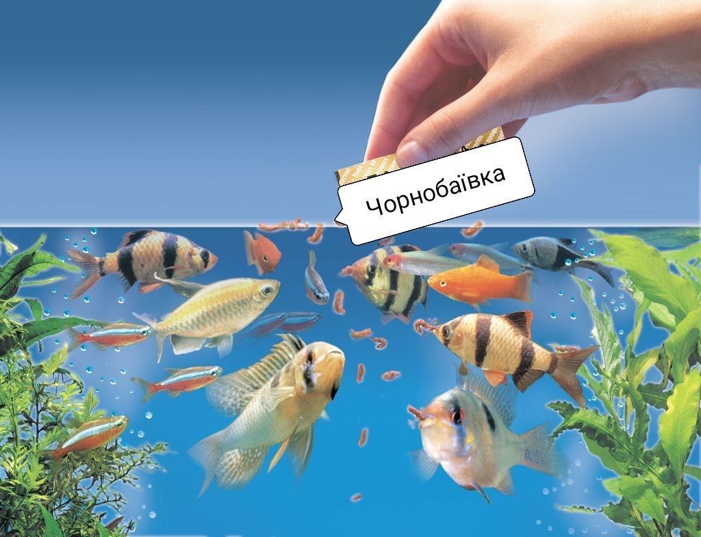 У мережі регочуть з мемів про Чорнобаївку, де русні всьоме надерли дупи - фото 541502
