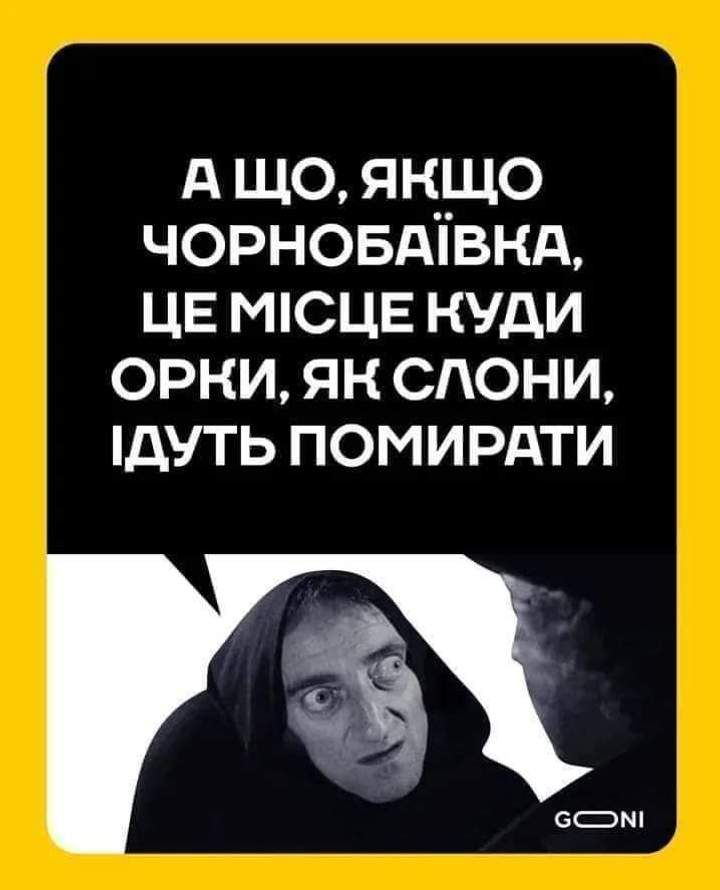 У мережі регочуть з мемів про Чорнобаївку, де русні всьоме надерли дупи - фото 541509