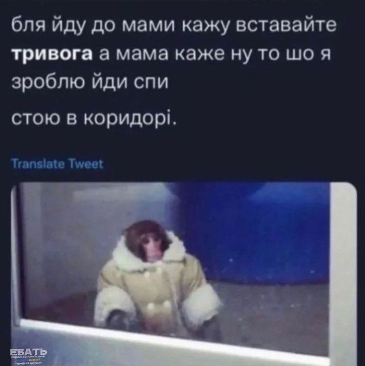 Меми про війну, які зрозуміють тільки українці - фото 541809