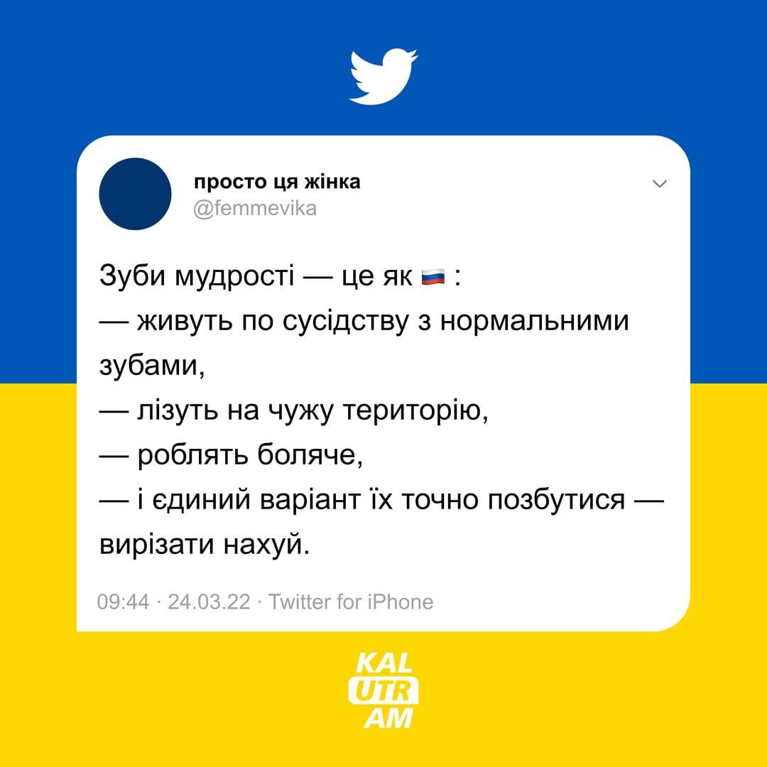 Шутки о войне из Twitter, от которых появляется улыбка - фото 541920