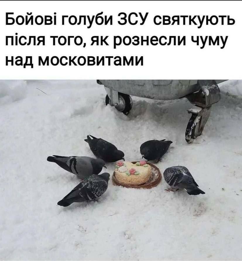 Новая порция мемов о войне, чтобы мы не забывали – победа близка - 542263 Новая порция мемов о войне, чтобы мы не забывали – победа близка - фото 542263