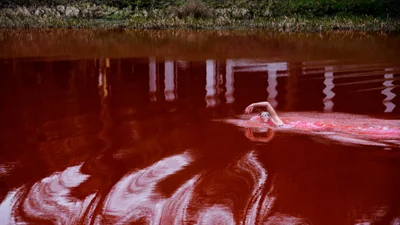 В Вильнюсе озеро покрасили в красный, чтобы напомнить рашистам, кто они