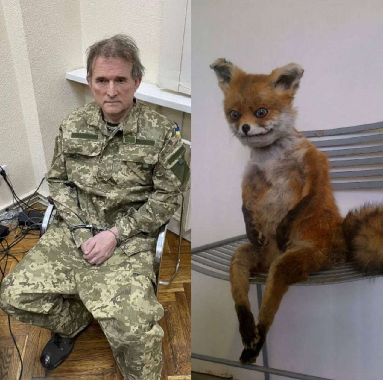 Мемы с Медведчуком, которые поднимут настроение даже во время войны - фото 542941