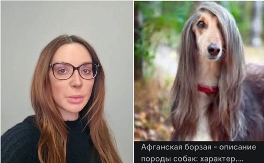 'Скучное лицо' Оксаны Марченко - топ-тема новых взрывно-смешных мемов - 543059 'Скучное лицо' Оксаны Марченко - топ-тема новых взрывно-смешных мемов - фото 543059