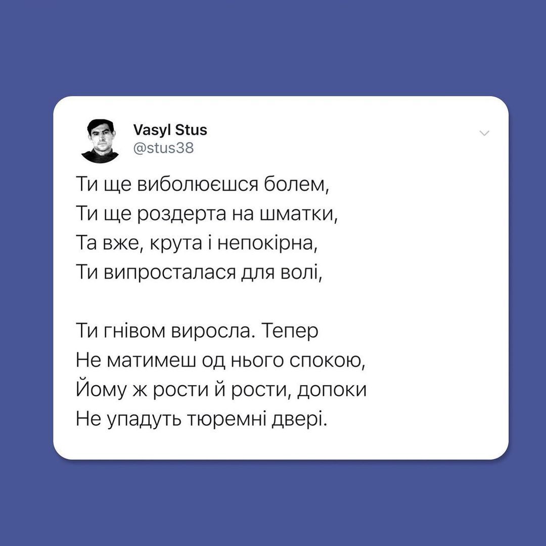 Ось як Василь Стус міг відреагувати на останні події в Україні - 543174 Ось як Василь Стус міг відреагувати на останні події в Україні - фото 543174