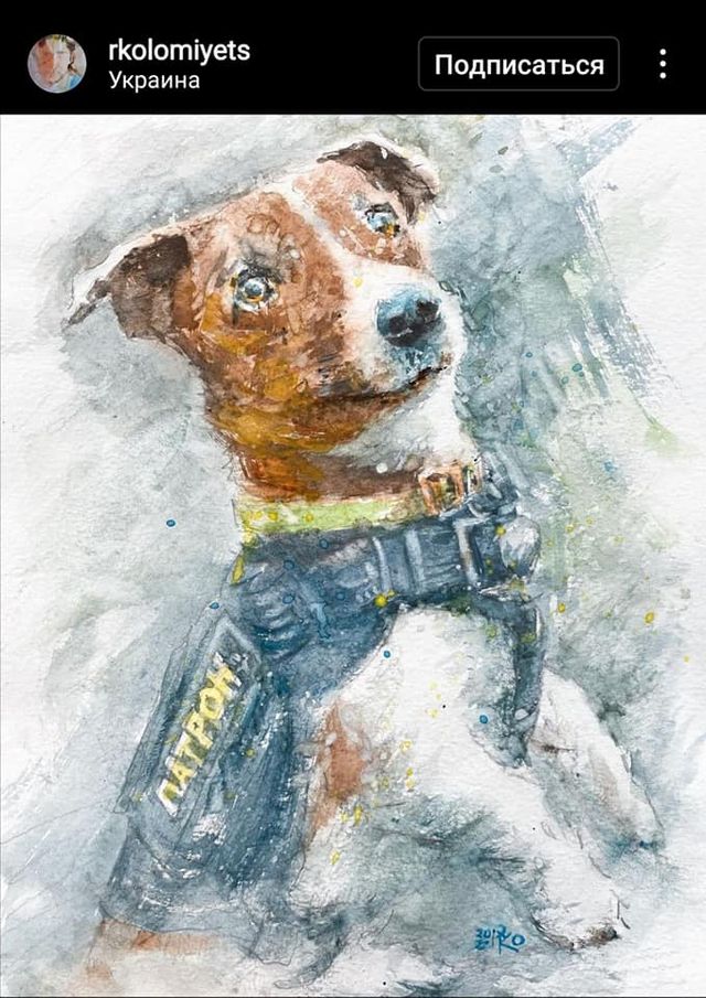 Потешные иллюстрации, которые художники посвятили Патрону – собачке-помощнику саперов ДСНС - фото 543241