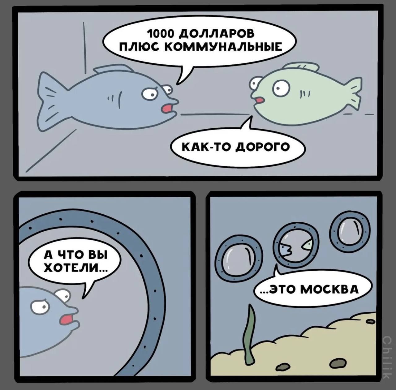 Держи подборку лучших мемов о затонувшем крейсере 'Москва' - фото 543296