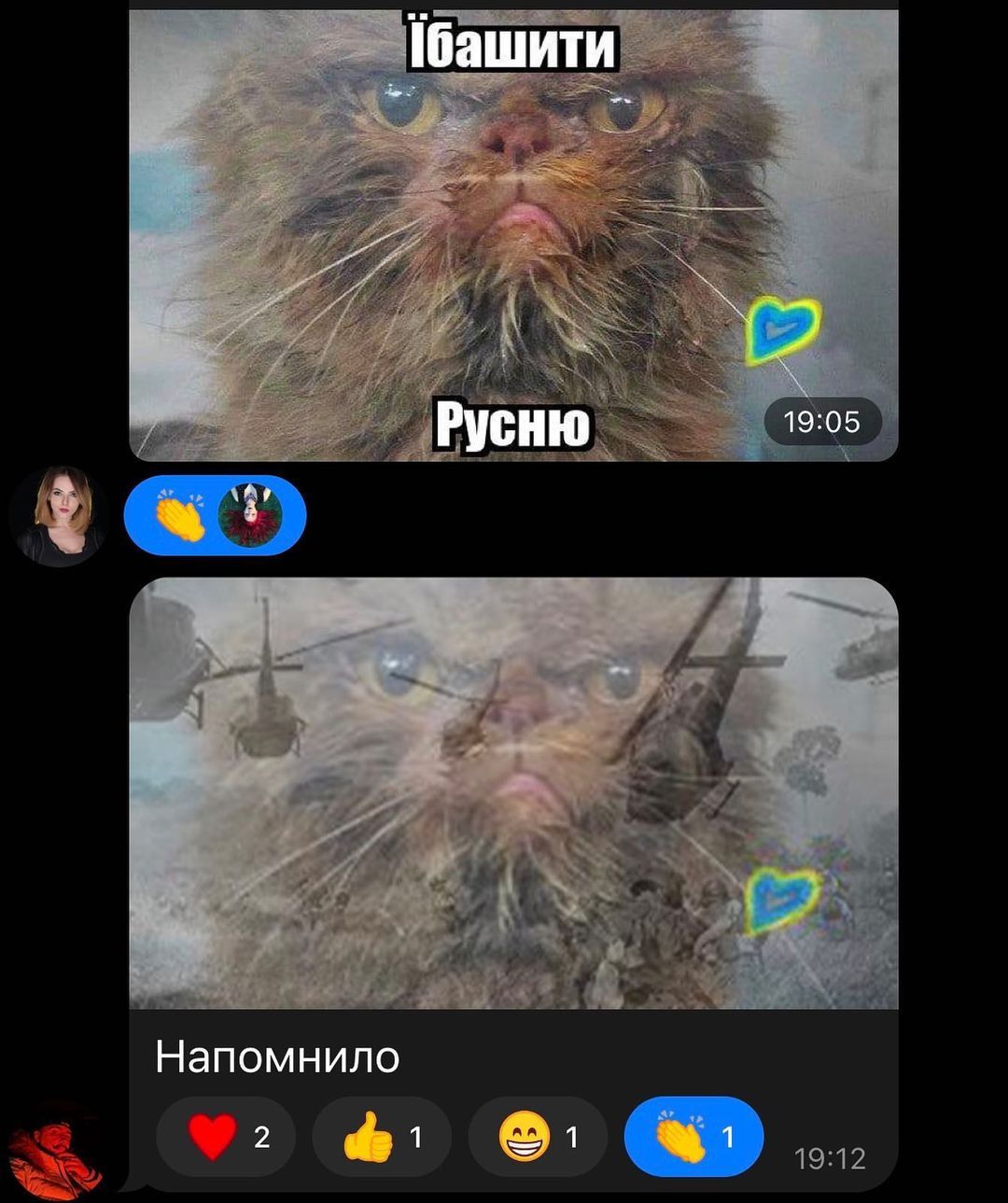 В Бородянке спасли кошку, которая месяц жила на 7-м этаже разрушенного дома - 544033 В Бородянке спасли кошку, которая месяц жила на 7-м этаже разрушенного дома - фото 544033