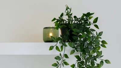 Коли Зелені свята 2022: дата Трійці в Україні