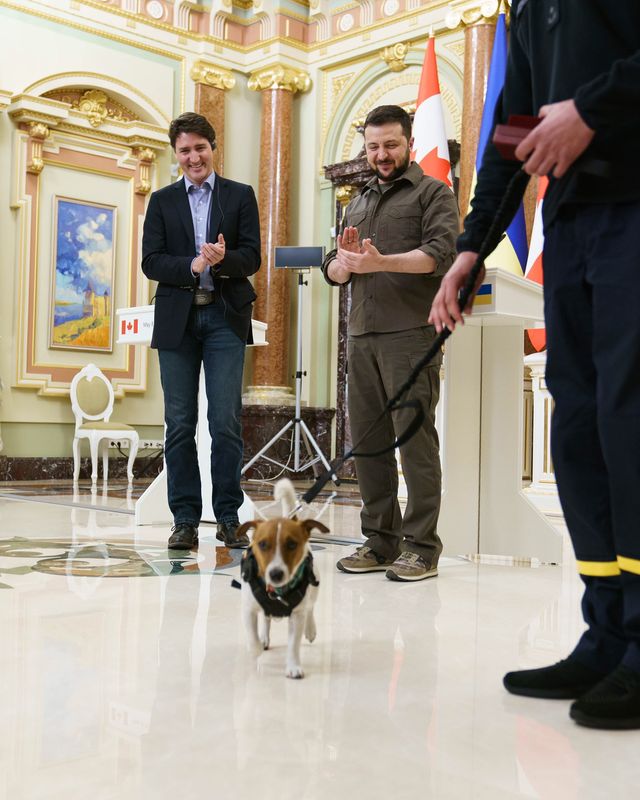 Премьер Канады Джастин Трюдо похвастался фото с псом Патроном - фото 544427