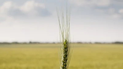 Забавні ілюстрації про реалії українців