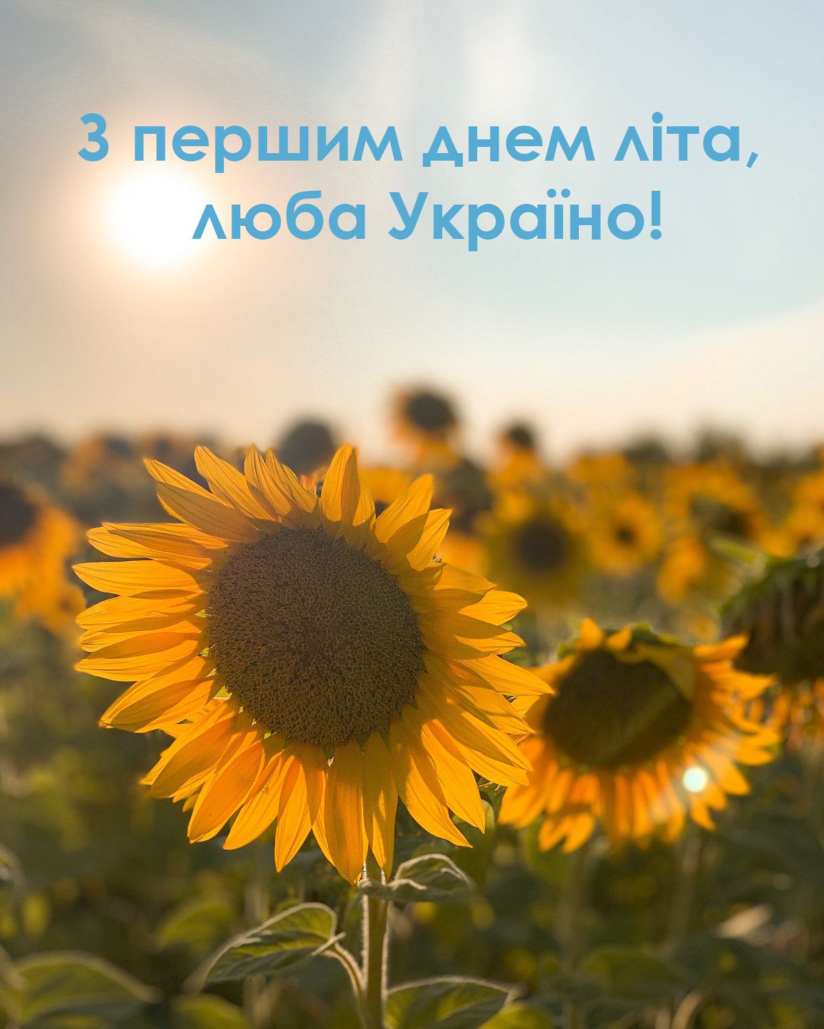 Первый день лета картинки 2022 - 545092 Первый день лета картинки 2022 - фото 545092