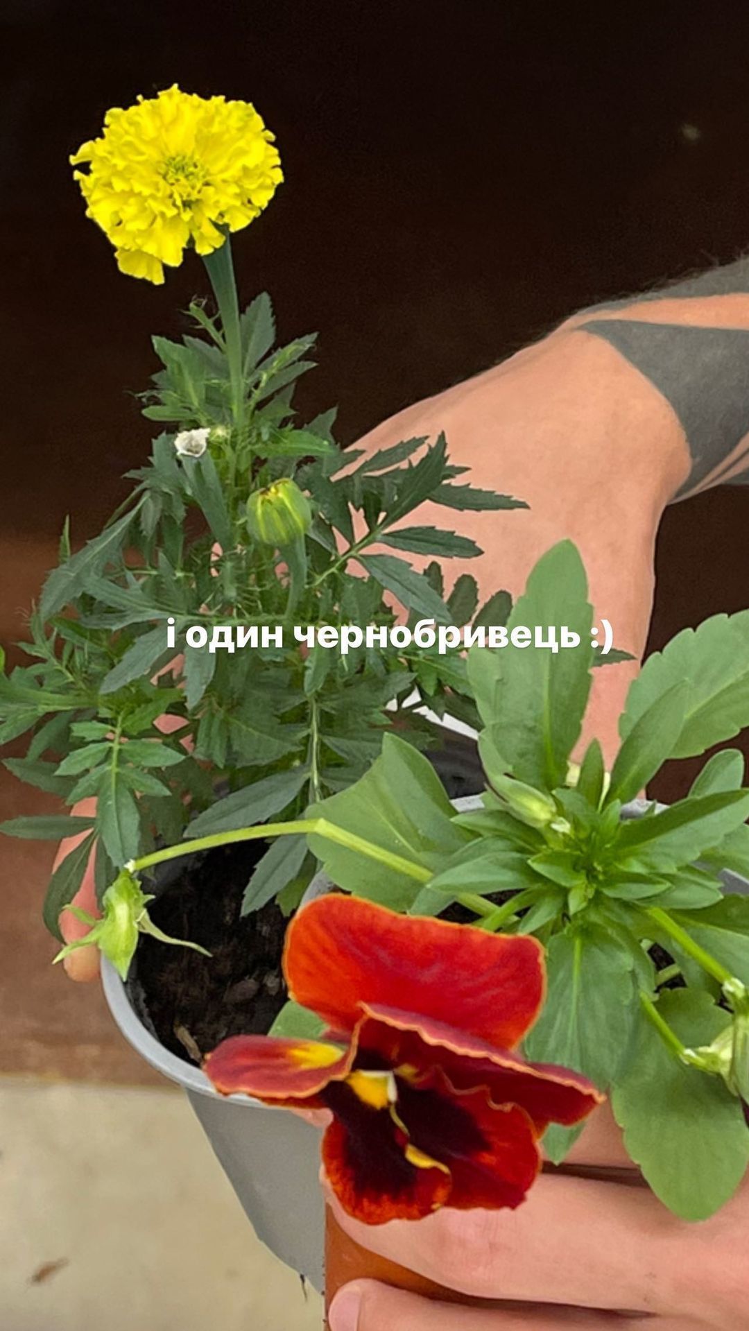 Даша Кацуріна назвала причину розлучення та показала, як романтично тусується з Дантесом - фото 545192