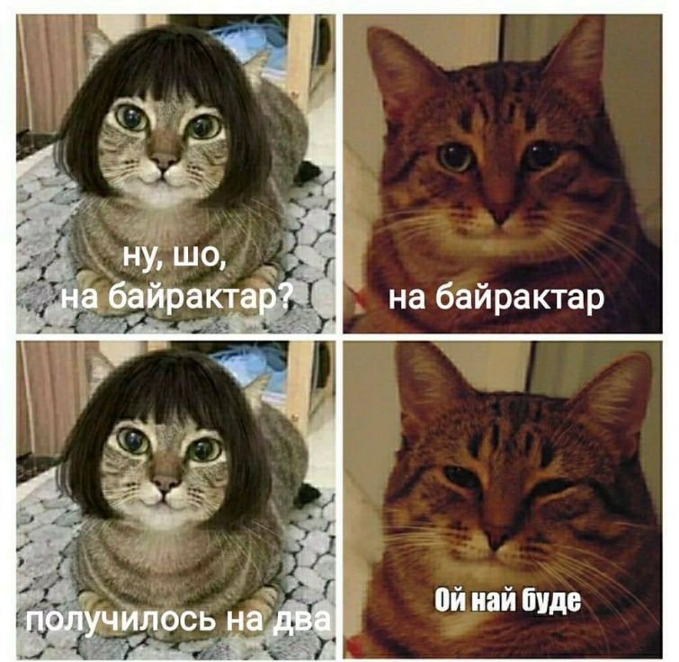 Швидкість, з якою Притула збирає мільйони на байрактари, спричинила хвилю кумедних мемів - 545859 Швидкість, з якою Притула збирає мільйони на байрактари, спричинила хвилю кумедних мемів - фото 545859