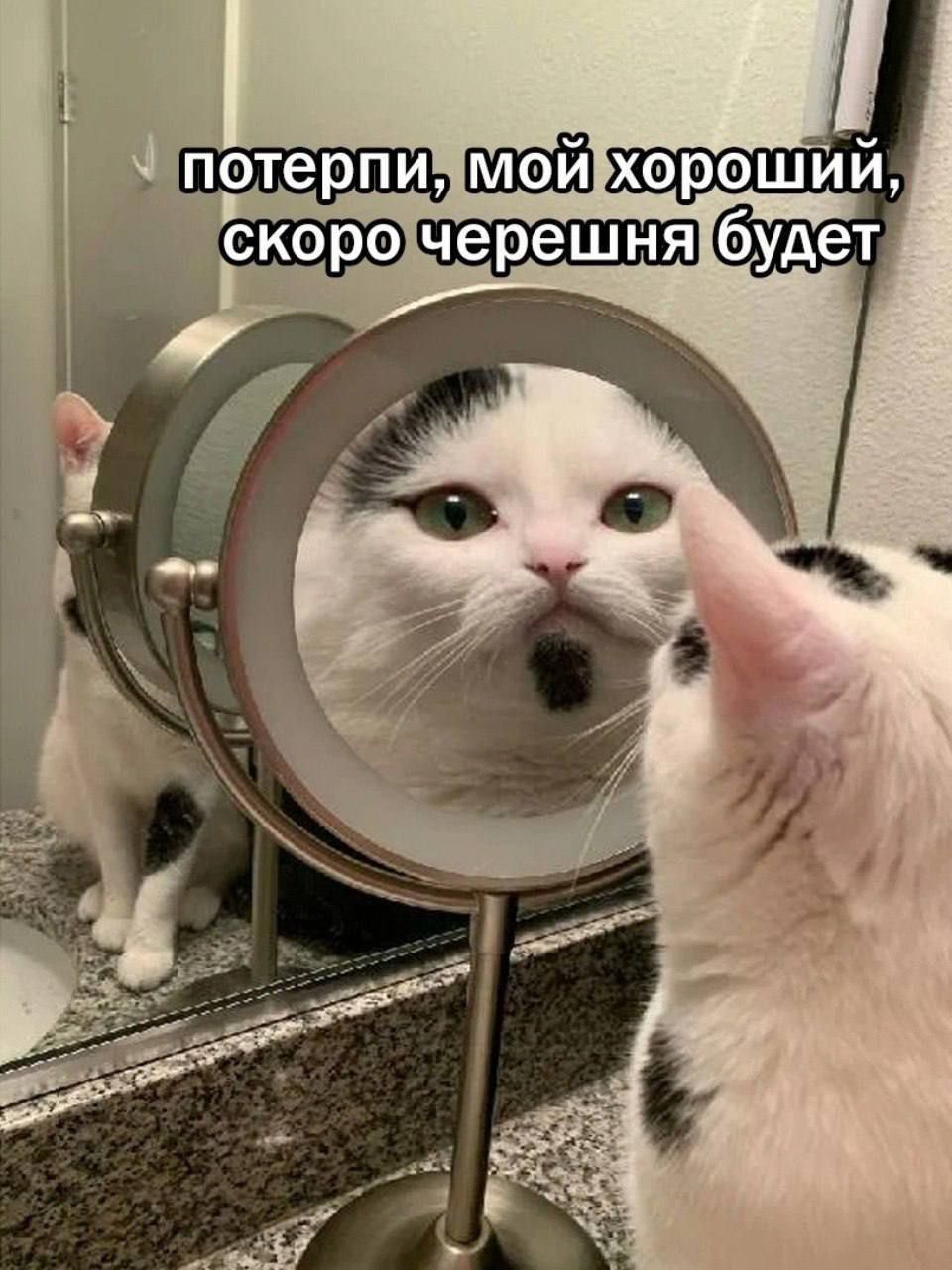 Актуальні меми про черешню, які ти заціниш - 545922 Актуальні меми про черешню, які ти заціниш - фото 545922