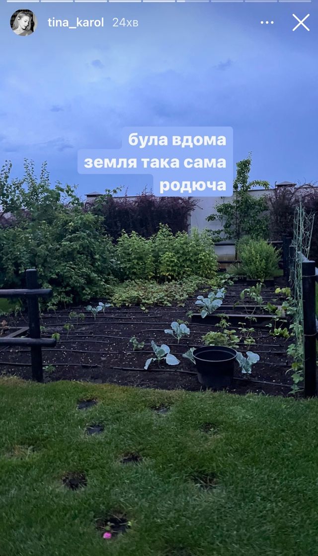 Тина Кароль вернулась в Украину и показала фото своего дома - фото 546147