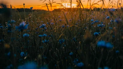 Гороскоп на июль 2022 года для каждого знака зодиака