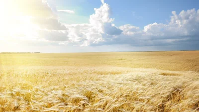 Можно ли возвращаться сейчас в Украину и когда закончится война – мнение таролога