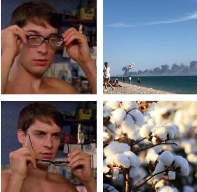 Самые сочные мемы о горящем Крыме, которые облетели и порадовали интернет - фото 547333