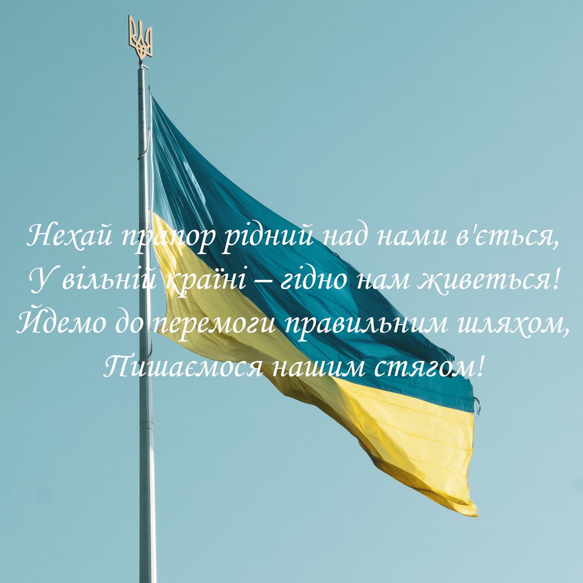 С Днем Флага: поздравления в картинках для всех, кто гордится родным знаменем - фото 547826