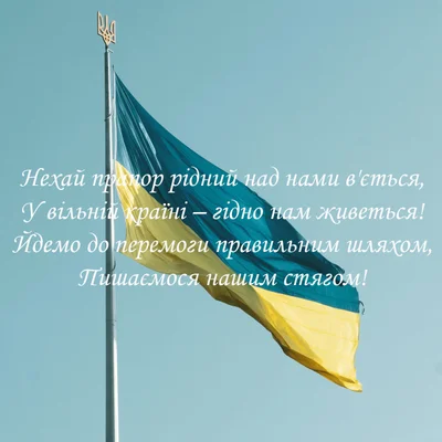 С Днем Флага Украины картинки поздравления - фото 547831