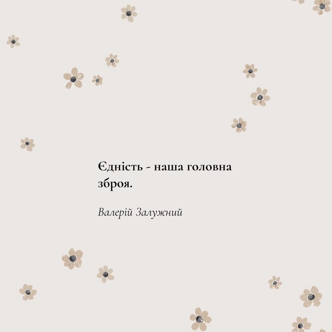 Топовые цитаты Валерия Залужного, согревающие сердце - фото 549128