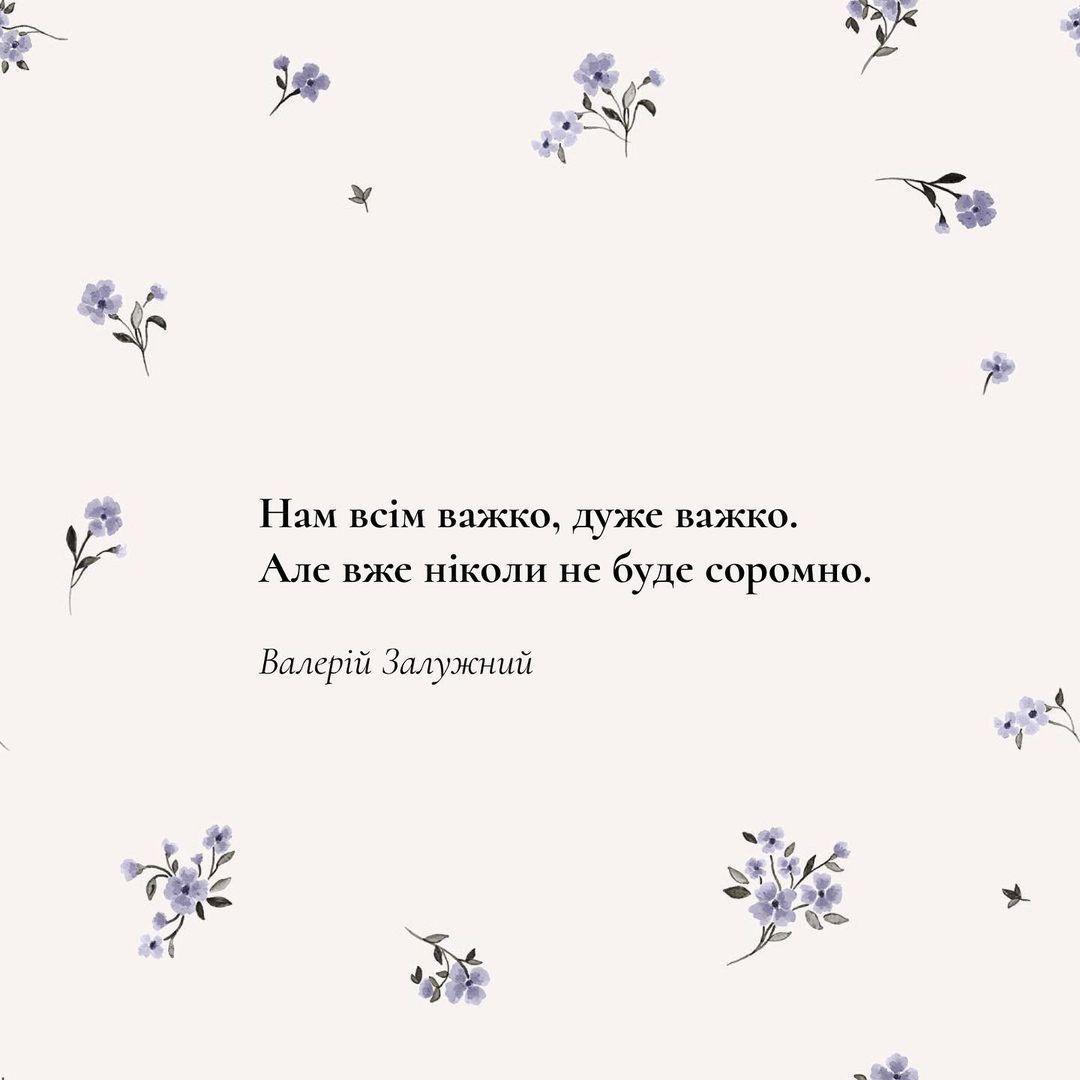Топовые цитаты Валерия Залужного, согревающие сердце - фото 549129