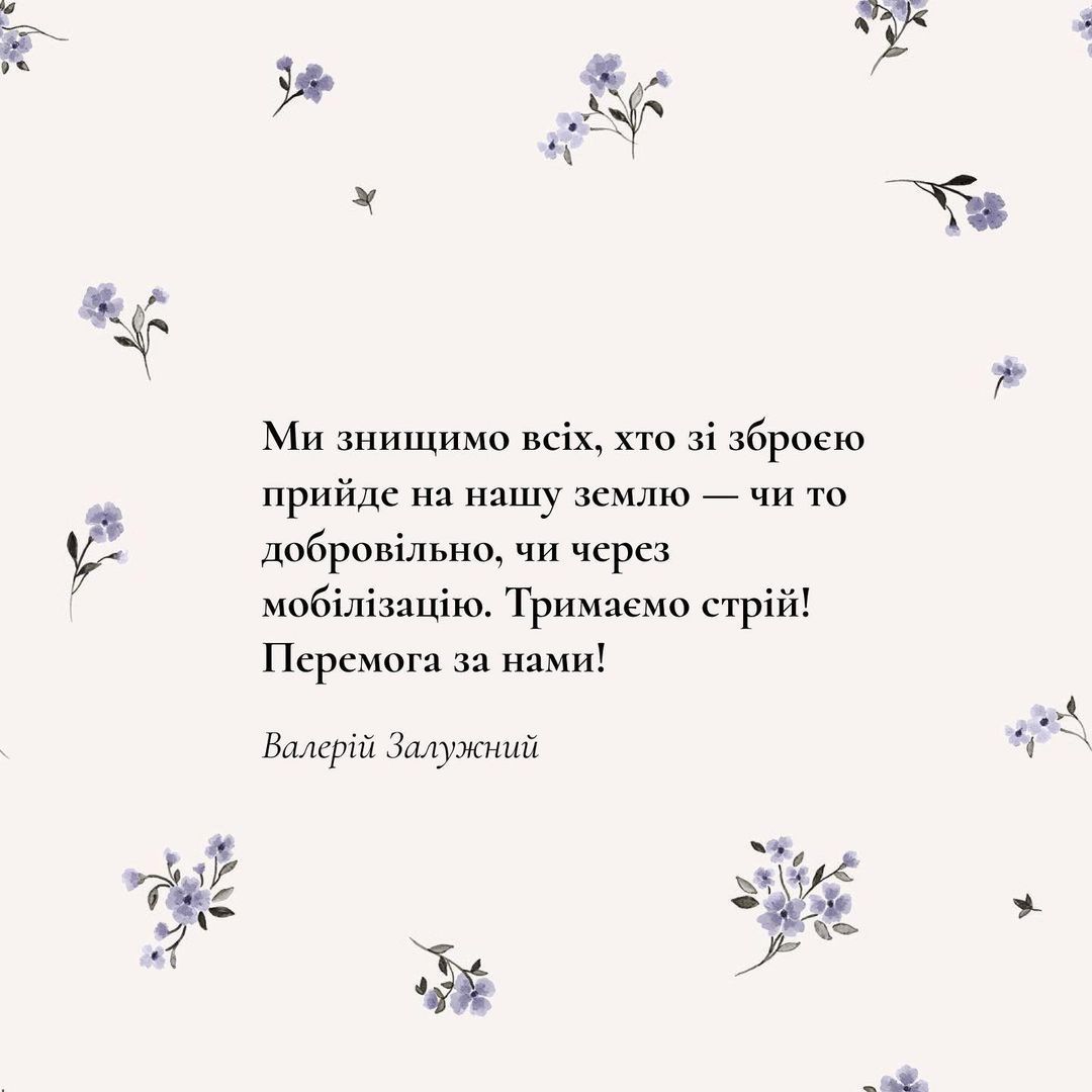 Топовые цитаты Валерия Залужного, согревающие сердце - фото 549132