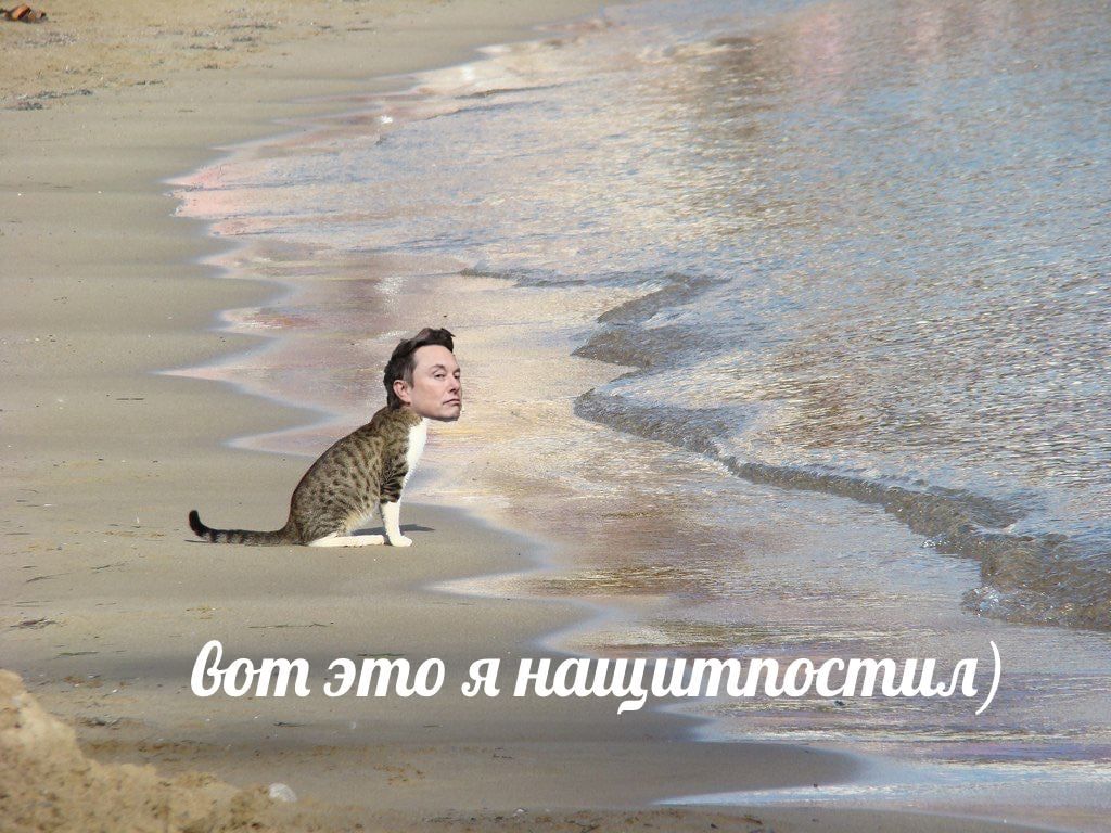 Меми з Ілоном Маском, який прогулював уроки історії - 549384 Меми з Ілоном Маском, який прогулював уроки історії - фото 549384