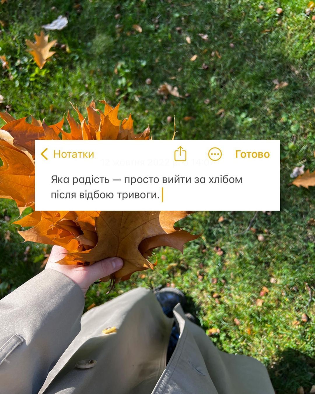 Вдохновляющие картинки о том, как украинцы продолжают жить вопреки войне - фото 549744