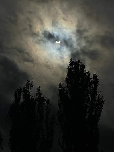 Фото сонячного затемнення в Україні 25 жовтня - фото 550150
