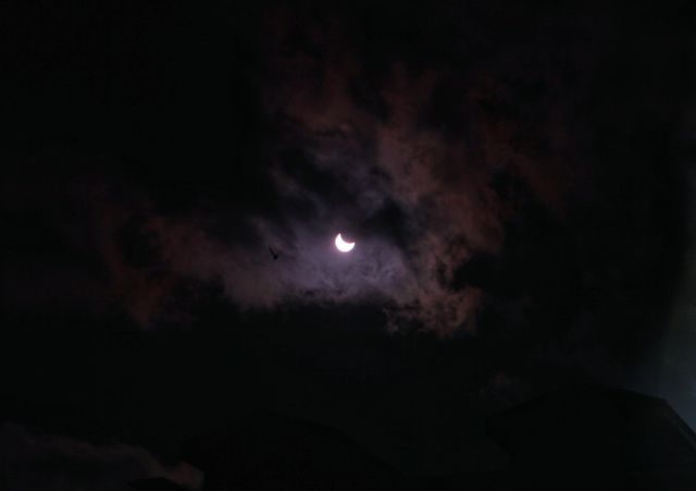 Фото сонячного затемнення в Україні 25 жовтня - фото 550151