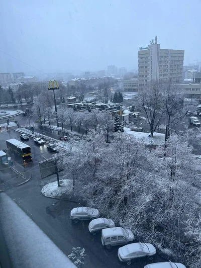 В Україні випав перший сніг – казкові фото - фото 550756