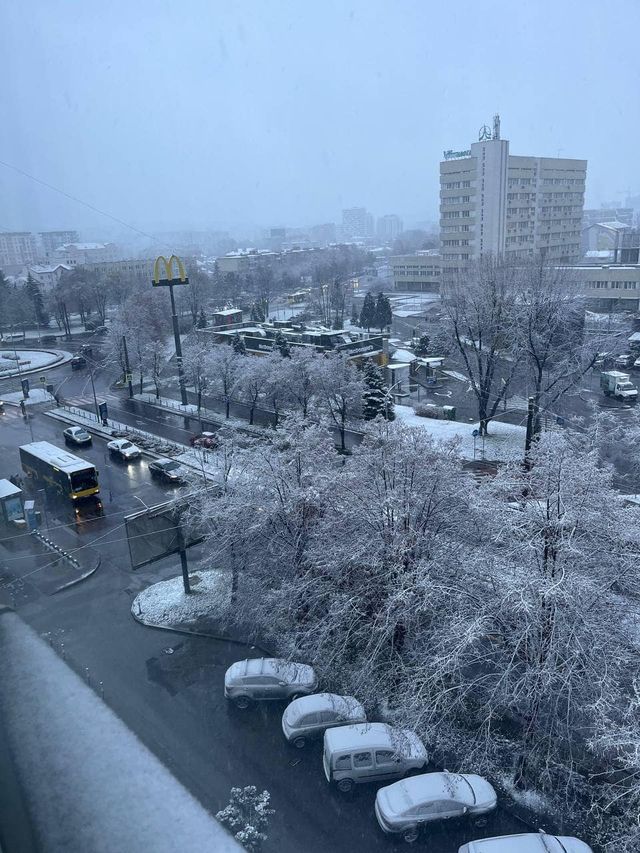 В Украине выпал первый снег – сказочные фото - фото 550756