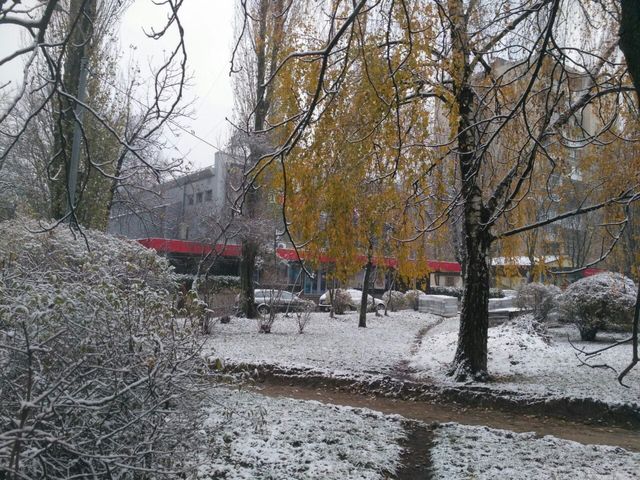 В Украине выпал первый снег – сказочные фото - фото 550758