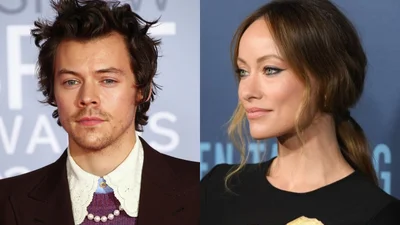 Гаррі Cтайлз та Олівія Вайлд розбіглися