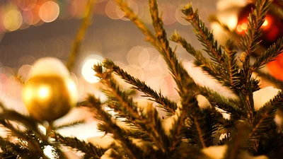Католицьке Різдво 2022 в Україні: дата і традиції свята