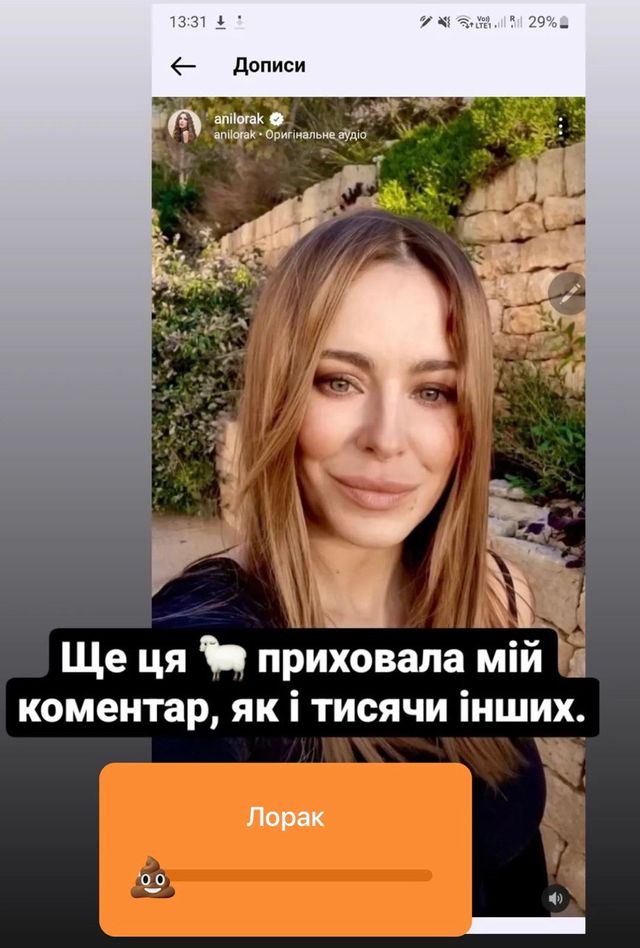 Анатолій Анатоліч показав, як Ані Лорак видаляє його коментарі під постами в Instagram - фото 551023