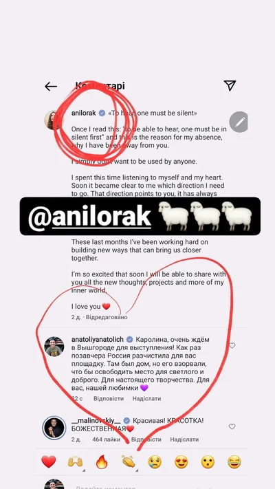 Анатолій Анатоліч показав, як Ані Лорак видаляє його коментарі під постами в Instagram - фото 551024
