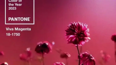 Pantone назвав головний колір 2023 року