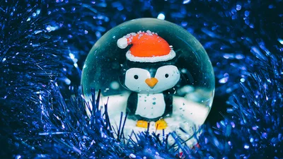 Новый год 2023: будет ли снег на зимние праздники