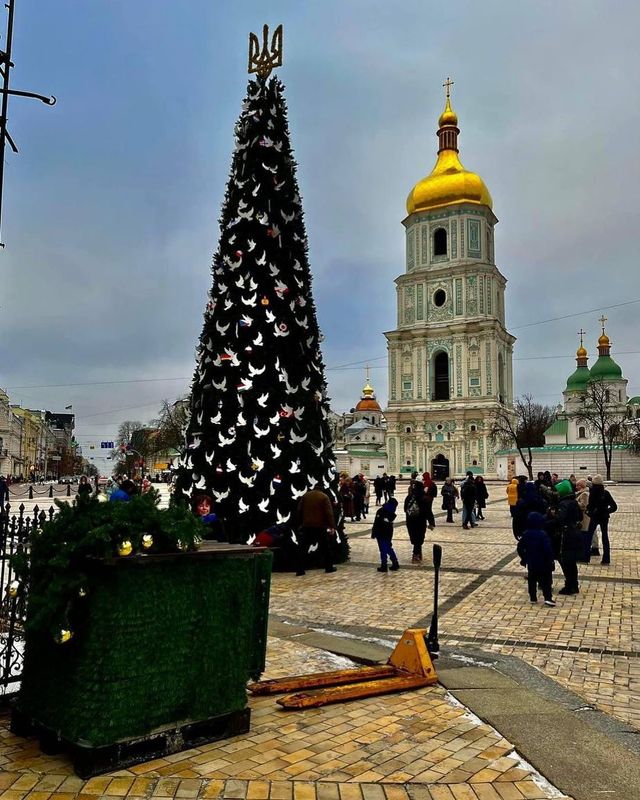 В Керчи, Киеве и Львове: какие в этом году праздничные елки в городах Украины - фото 551709