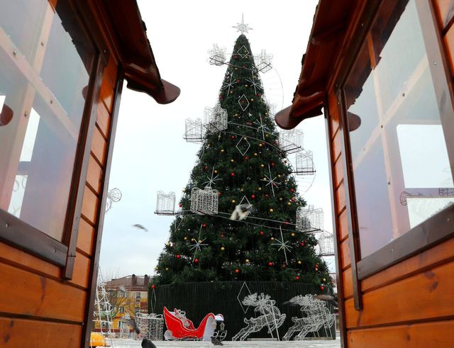 В Керчи, Киеве и Львове: какие в этом году праздничные елки в городах Украины - фото 551711