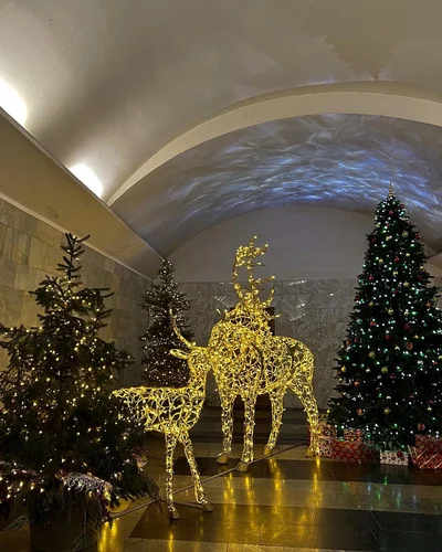 В Керчи, Киеве и Львове: какие в этом году праздничные елки в городах Украины - фото 551714
