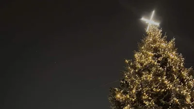 В Керчи, Киеве и Львове: какие в этом году праздничные елки в городах Украины