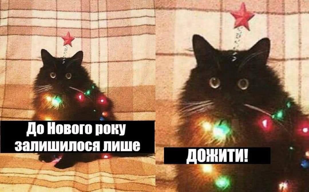 Мемы о Новом году, которые поднимут со дна твое праздничное настроение - фото 551926