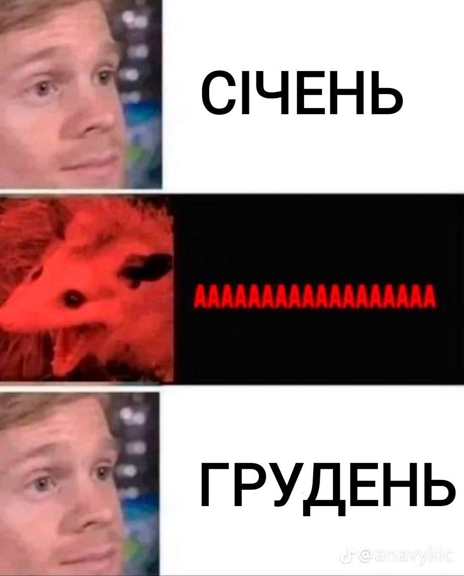 Мемы о Новом году, которые поднимут со дна твое праздничное настроение - фото 551930