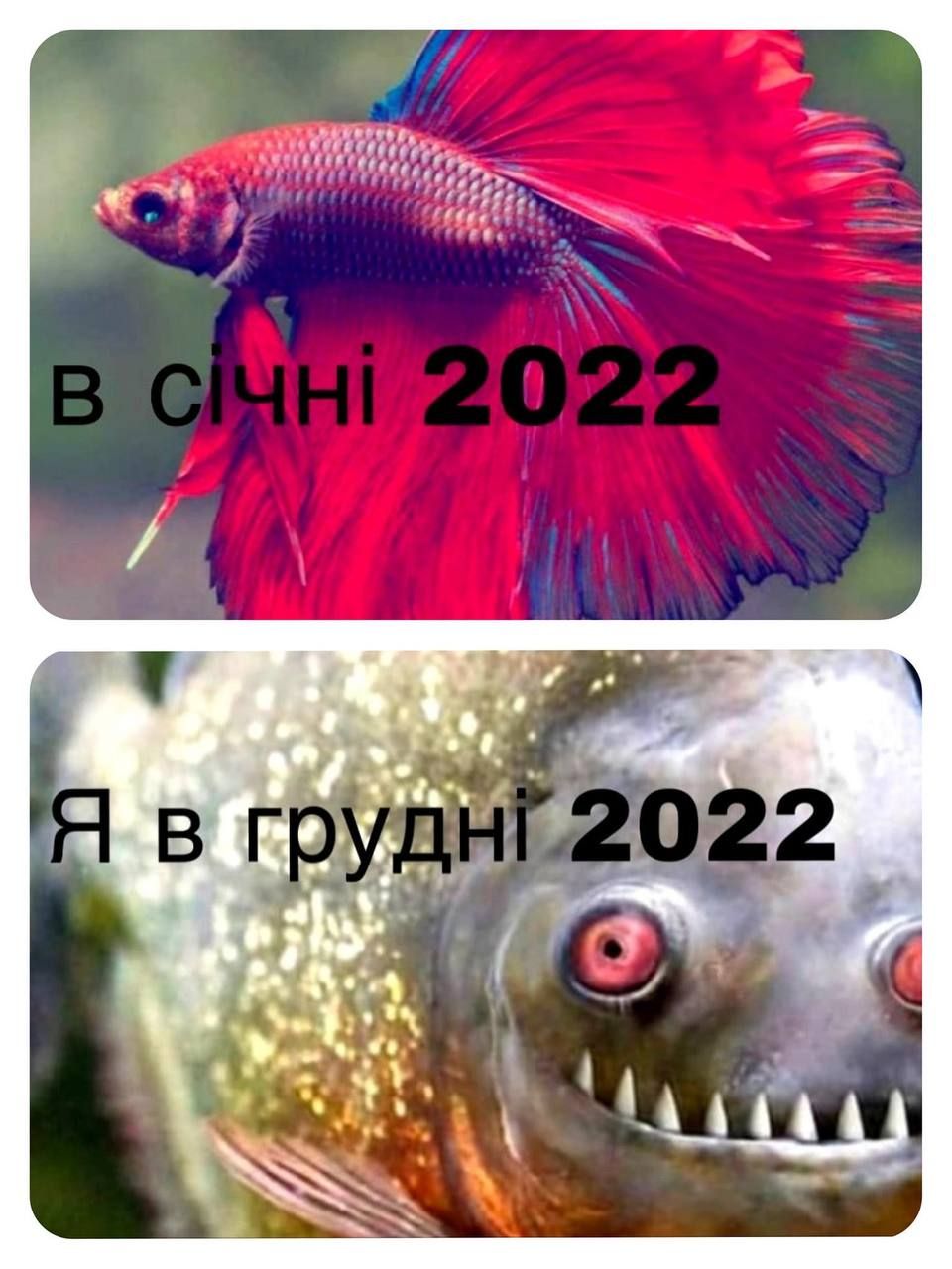 Мемы о Новом году, которые поднимут со дна твое праздничное настроение - фото 551938