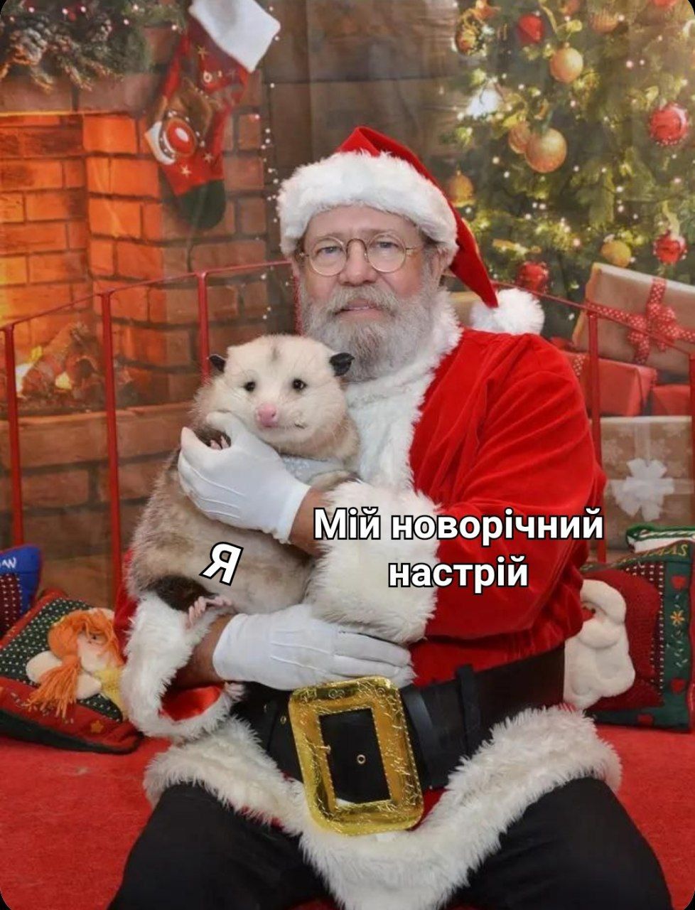 Мемы о Новом году, которые поднимут со дна твое праздничное настроение - фото 551940